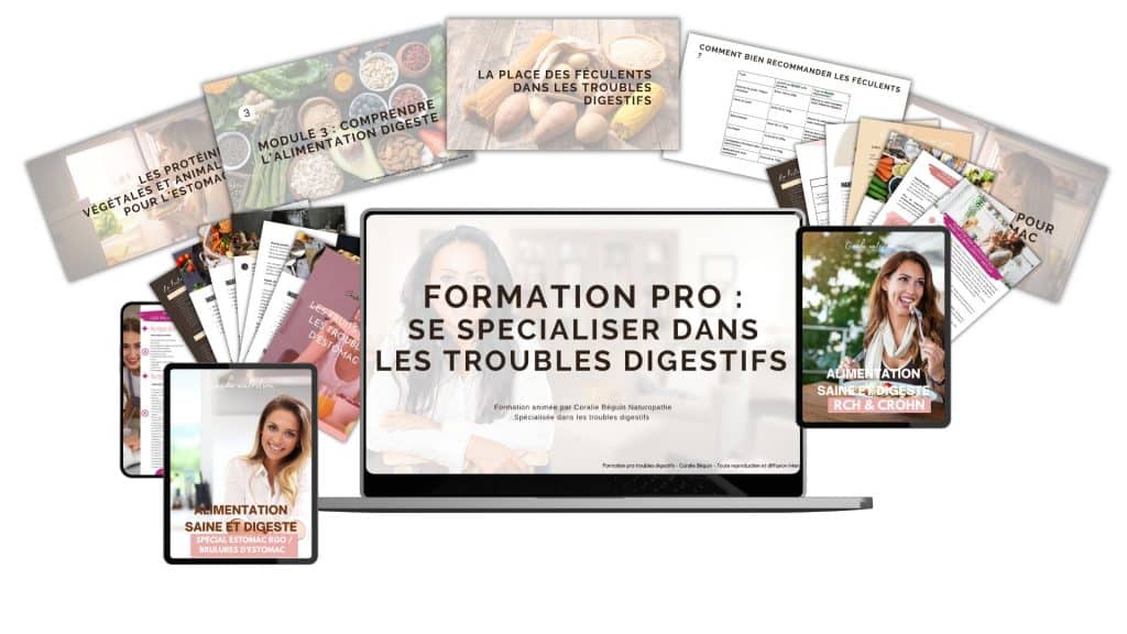 formations professionnelles